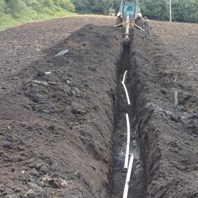 Image 2024 05 20 17.23.15