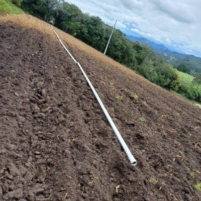 Image 2024 05 20 17.23.17