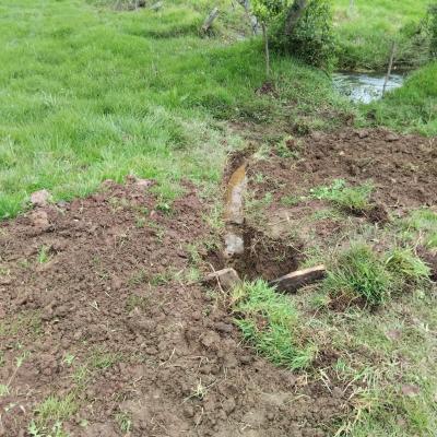 Image 2024 05 20 17.32.48