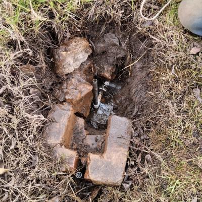 Image 2024 05 20 17.32.50