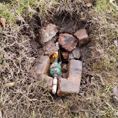 Image 2024 05 20 17.32.51