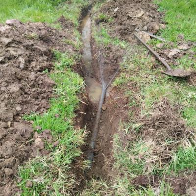 Image 2024 05 20 17.32.52